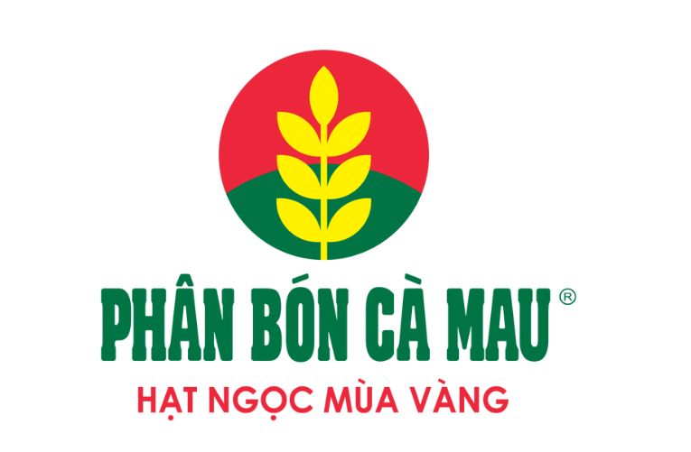 Logo PVCFC